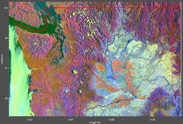 Satellite Image: Washington State Vegitation