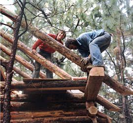 Logs as Rafters